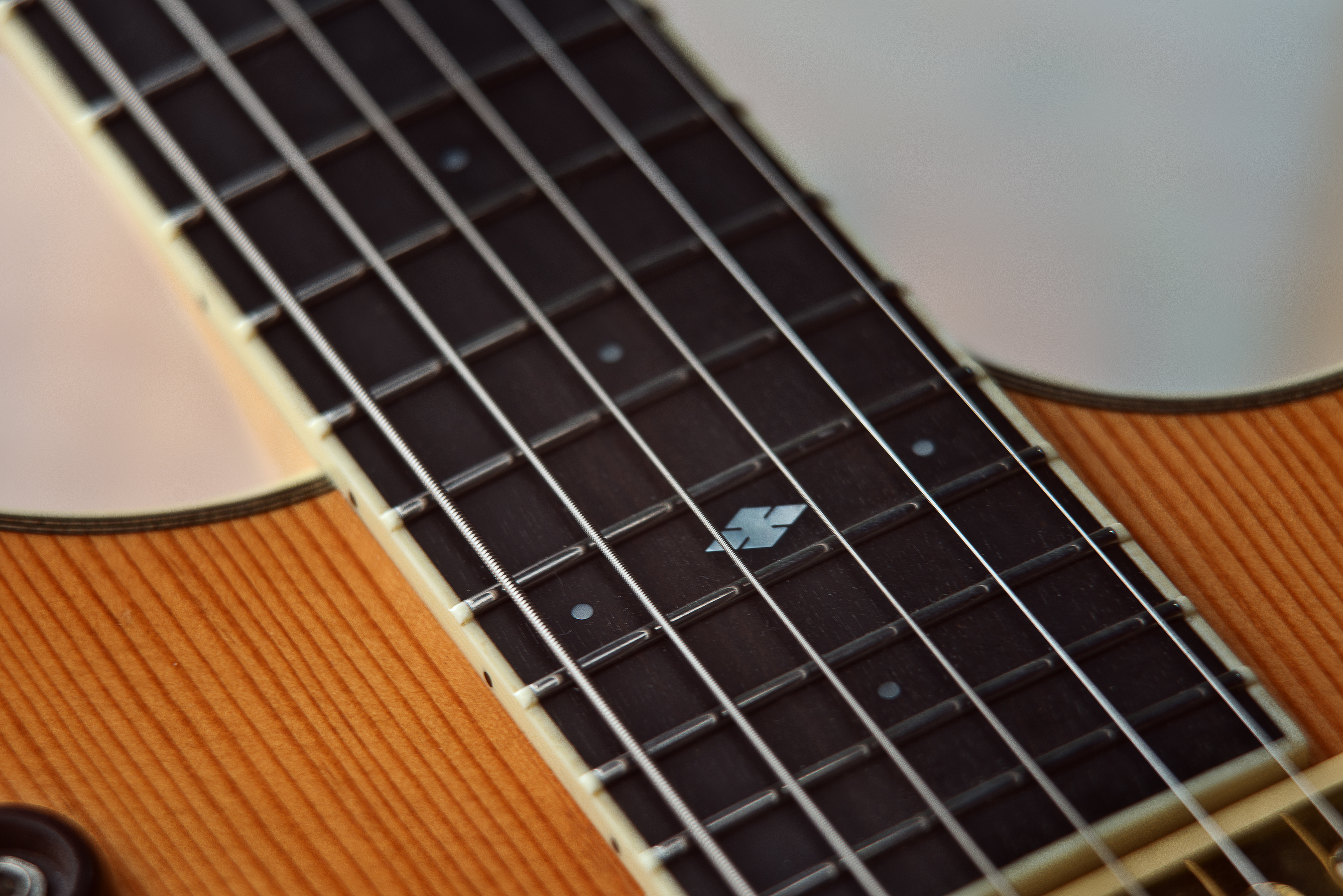 Guitar Maker Peter Stephen, snow flack decal inlay