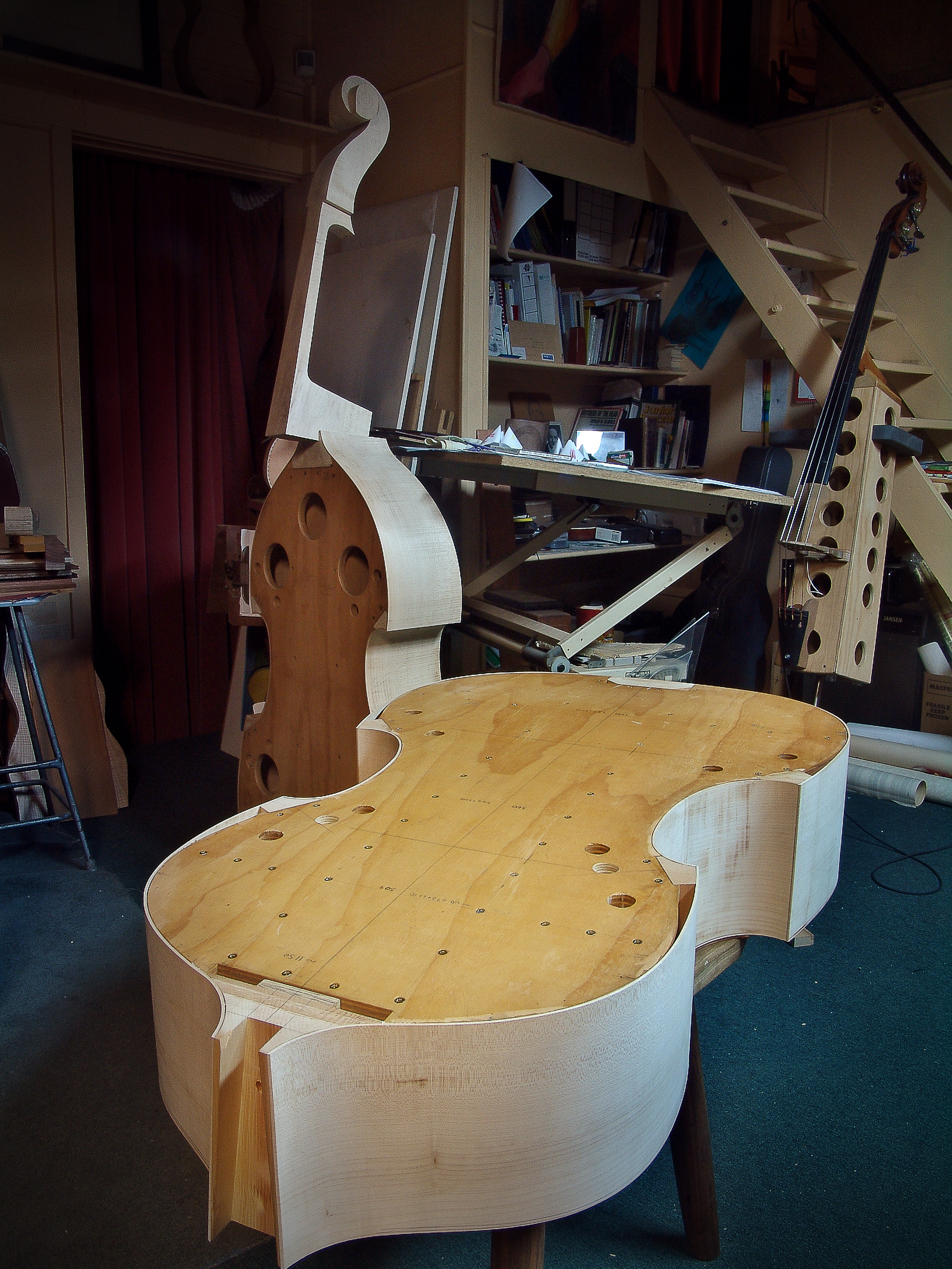 The sides of a double bass are glued ready to be assembled in Peter Stephen's studio