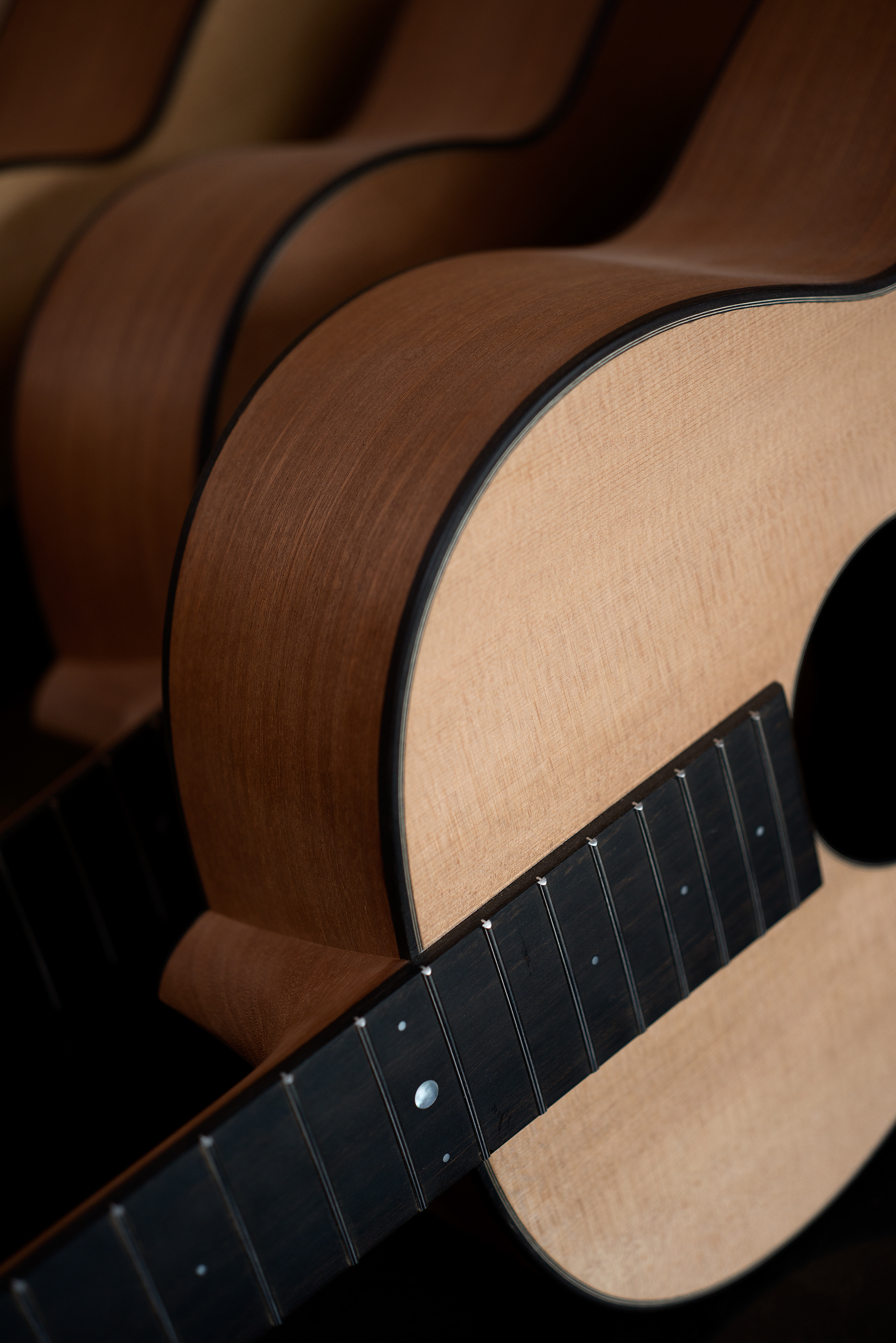 Guitar Maker Peter Stephen series of Parlour Guitars