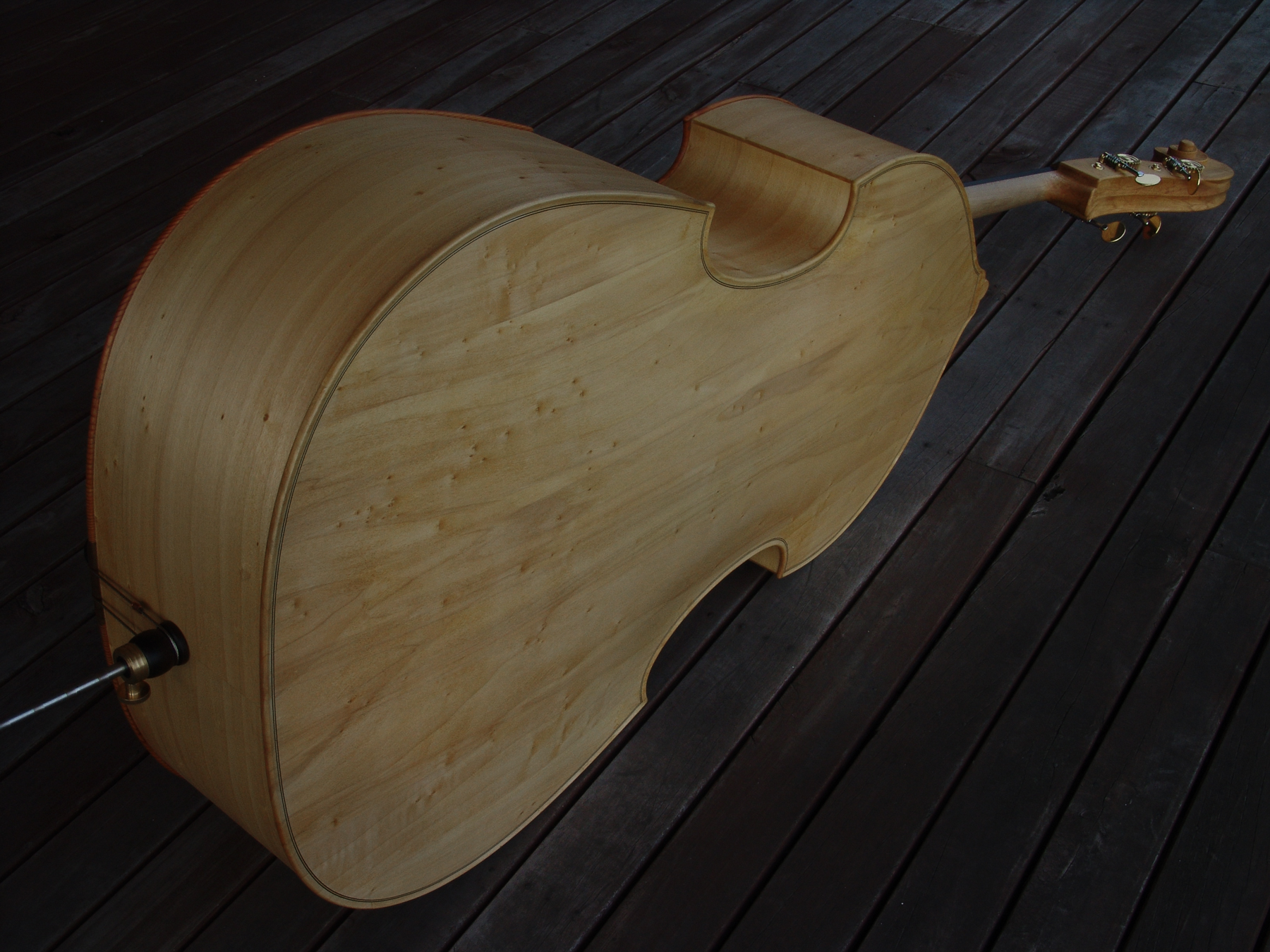 The back of a double bass just after it's been assembled in Peter Stephen's Studio
