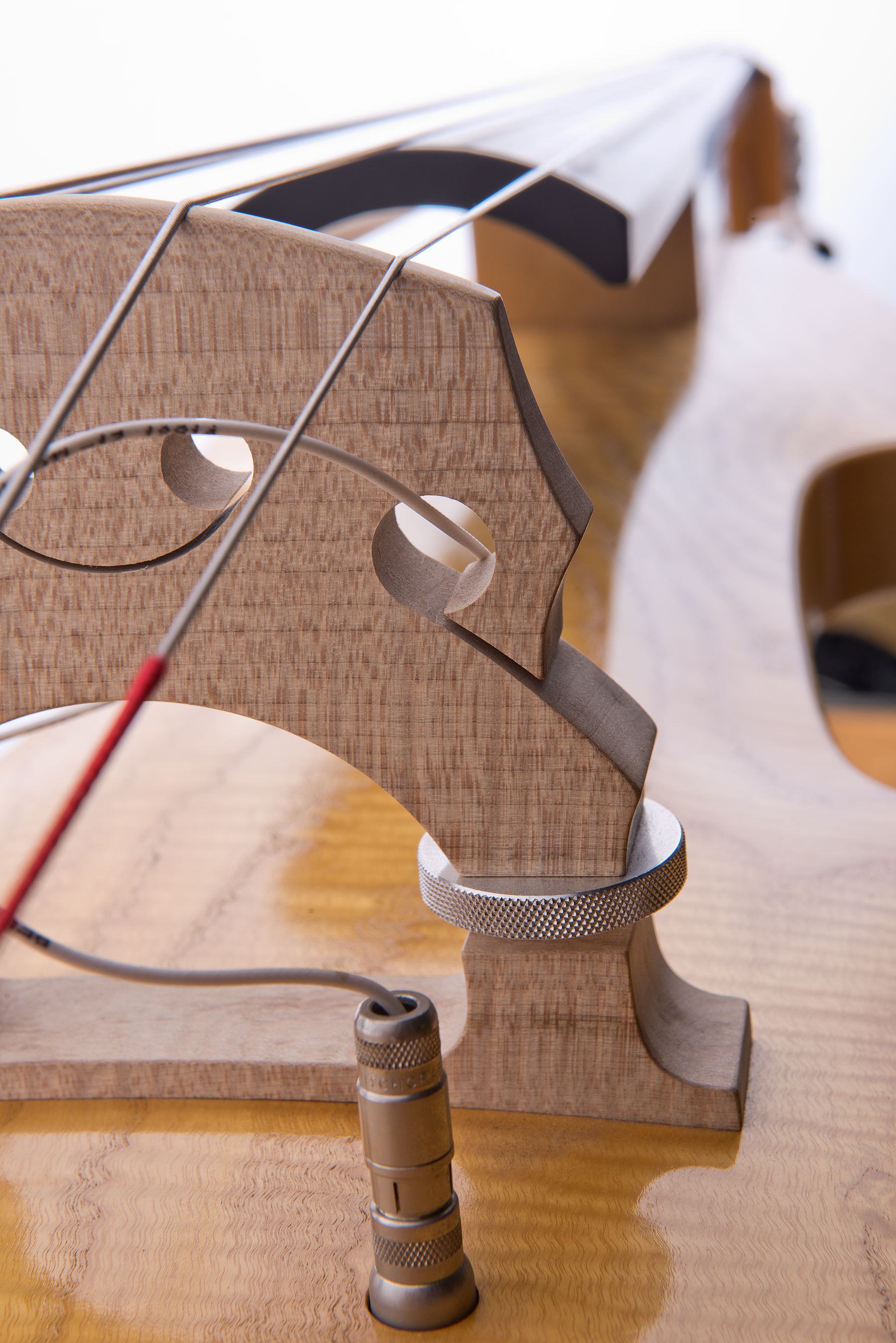 Luthier Peter Stephen's series of UEB, here we see the detail of the bridge and pickup connection